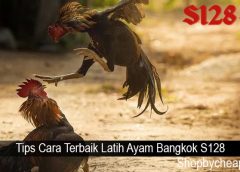 Tips Cara Terbaik Latih Ayam Bangkok S128